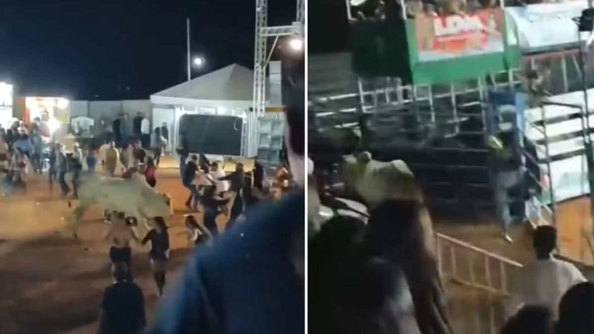 Touro escapa e persegue público durante rodeio; assista ao vídeo