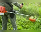 Prefeitura alerta sobre prazo de 10 dias para a limpeza de terrenos
