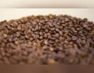 Governo reprova três marcas de café por serem impróprias para consumo