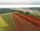 Desembargador dá 90 dias para Viapar iniciar obra do contorno de Arapongas