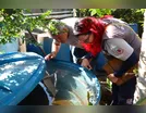 Arapongas registra 613 casos confirmados de dengue e um de chikungunya