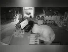 PC prende homem suspeito de furto em restaurante de Manoel Ribas