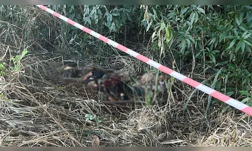 Ossada humana, supostamente de mulher, é encontrada em Londrina