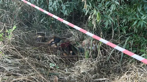 A Polícia Civil irá investigar o caso