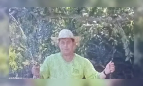Lavrador morre após ser atingido na cabeça por eucalipto durante corte