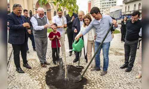 Novo parque de Curitiba vai homenagear o papa Francisco