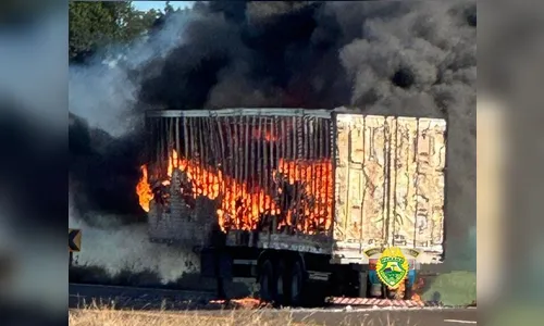 Caminhão é destruído pelo fogo em incêndio na PR-445