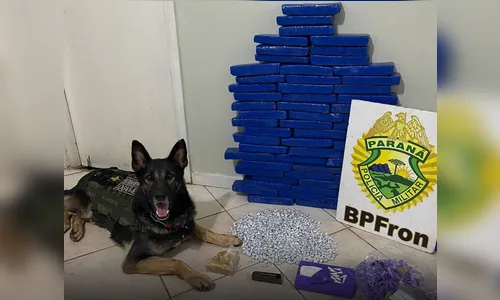 Policiais apreendem 40kg de maconha, crack e cocaína no Paraná