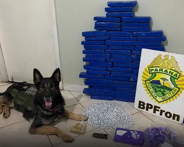 Após o recebimento de informações da ocorrência de tráfico de drogas, os policiais realizaram diligências no local indicado