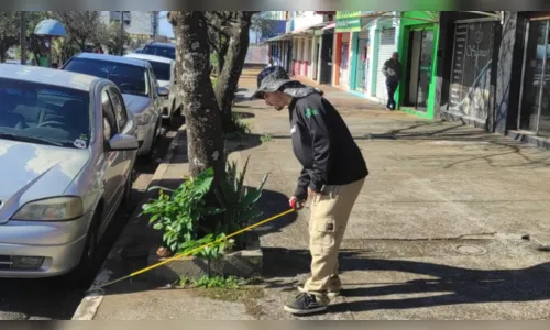Apucarana inicia coleta para primeiro plano de arborização