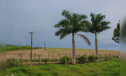 Sábado sem chuva? Veja a previsão do tempo para este final de semana