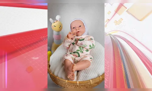 Entenda caso de casal que disputa na Justiça guarda de bebê reborn