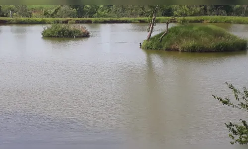 Bombeiros fazem buscas para localizar homem que se afogou em Marumbi