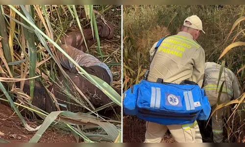 Ladrão é agredido, algemado e abandonado em área rural no Paraná