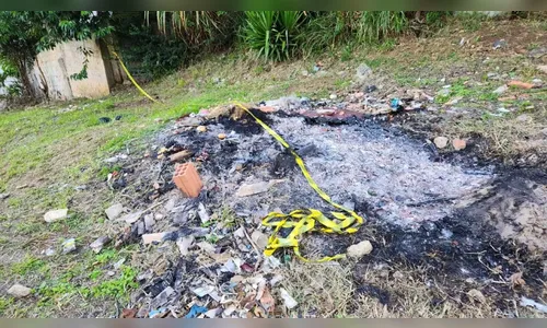 Corpo de jovem desaparecida é encontrado em matagal no Paraná