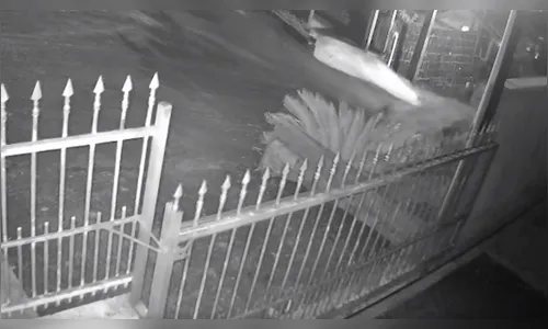 Criança morre e outra fica ferida após bicicleta bater contra muro