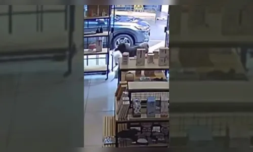 Cachorro é flagrado 