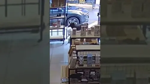 Câmera gravou "criminoso"