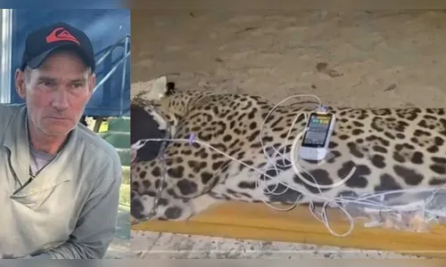 Como é a região onde onça atacou caseiro em Mato Grosso do Sul