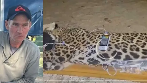 Caseiro Jorge Ávalo, de 60 anos, foi morto por uma onça-pintada
