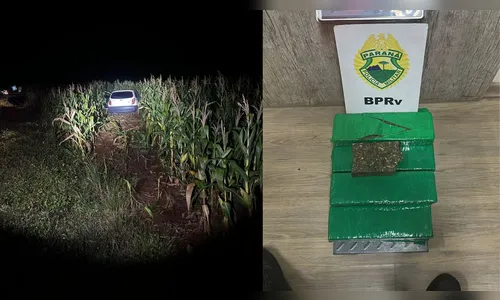 Carro com maconha invade plantação durante perseguição na PR-170