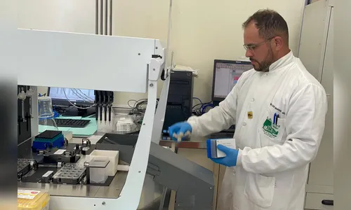 Paraná confirma dois casos autóctones de febre Oropouche; veja onde