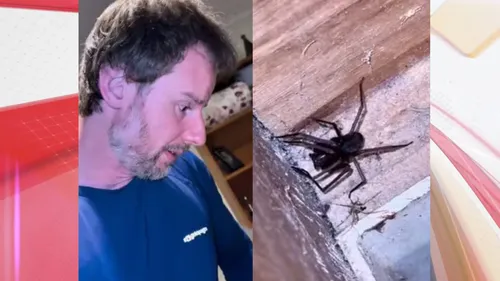 Christian Raboch decidiu dormir no carro após encontrar aranhas