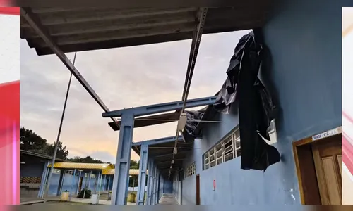 Temporal causa estragos em cidades do Paraná; saiba onde