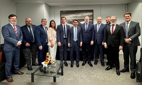 Missão paranaense defende Apaes do Estado no Supremo; entenda