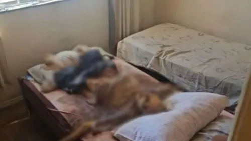 Corpo do homem foi encontrado em estagio final de decomposição