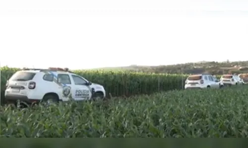 Taxista de 70 anos é encontrado morto em área de mata em Londrina