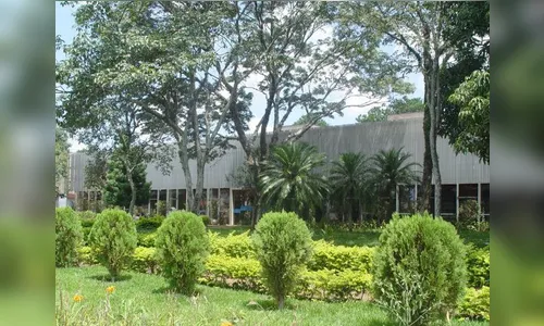 Vítima é agredida por assaltantes e tem celular roubado em Arapongas