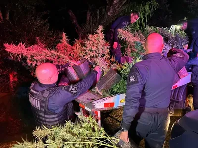Droga foi apreendida em chácara