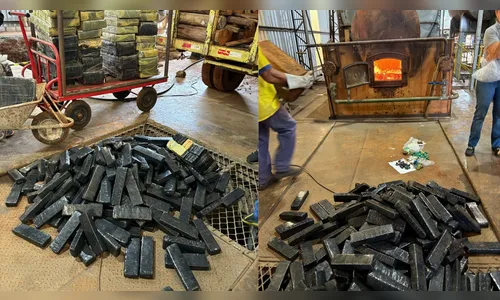 Polícia incinera quase 652 quilos de drogas apreendidas na região