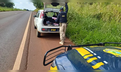 PRF apreende mais de 90 quilos de maconha em Paiçandu