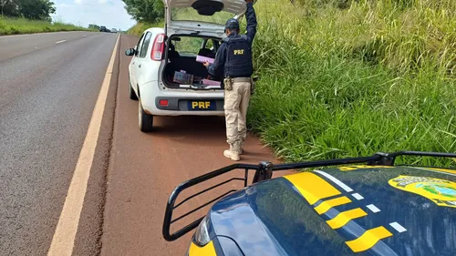 Durante a fiscalização, os agentes da PRF encontraram fardos e tabletes de maconha no porta-malas do veículo