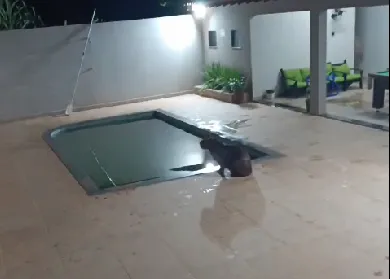 Fato aconteceu na noite de sábado (10), na Rua Matsujiro Takagui, no Parque Bela Vista