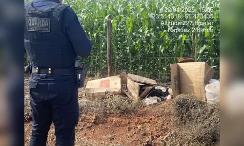 GCM e Meio Ambiente identificam autor de descarte irregular de entulho