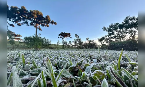 PR deve ter 1ª onda de frio com termômetros perto de 0ºC, diz Simepar