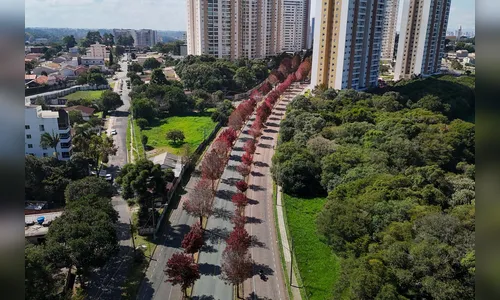Veja como será o clima em maio no Paraná, segundo previsão do Simepar