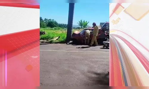 Motorista fica ferido após bater contra árvore em Apucarana; vídeo