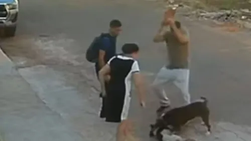 Homem usou pedra para tentar parar ataque de pitbull