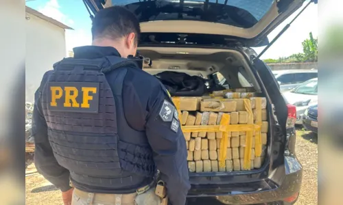 Apreensão de drogas dispara no 1º trimestre na região de Apucarana