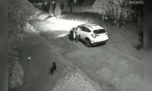 Cachorro é abandonado e corre desesperado atrás de carro no PR; veja