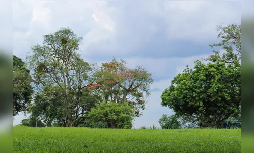 Apucarana pode registrar mínima de 13°C no último dia do mês de abril