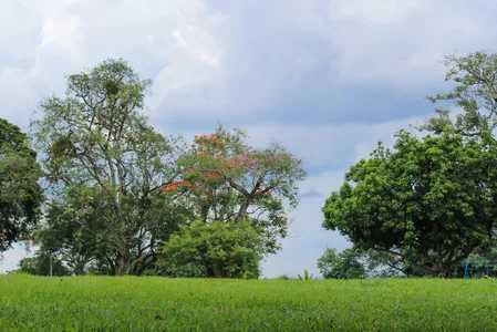 Não há previsão de chuva para o dia