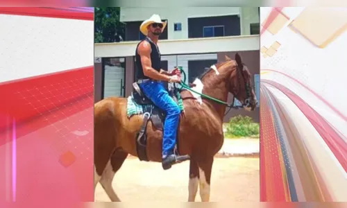 Cavaleiro e égua morrem após serem atropelados por carro na BR-040