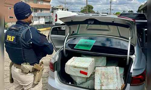 PRF apreende quase uma tonelada de maconha em Guarapuava