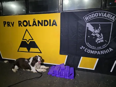 O cão de faro Airon indicou a presença de entorpecentes em duas bolsas localizadas no compartimento de passageiros.