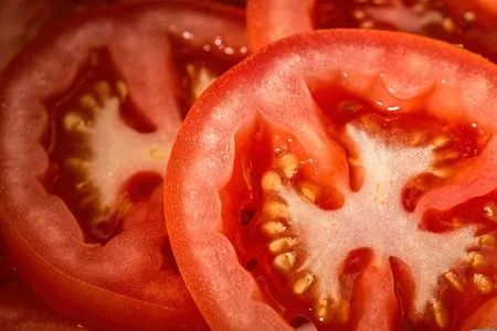 “O tomate oferece diversos nutrientes e compostos protetores”, destaca o nutrólogo